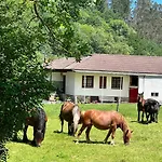 La Casita De Olivia Espinaredo *