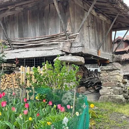 La Casita De Olivia Espinaredo 木屋