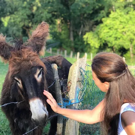La Casita De Olivia Espinaredo La Villa