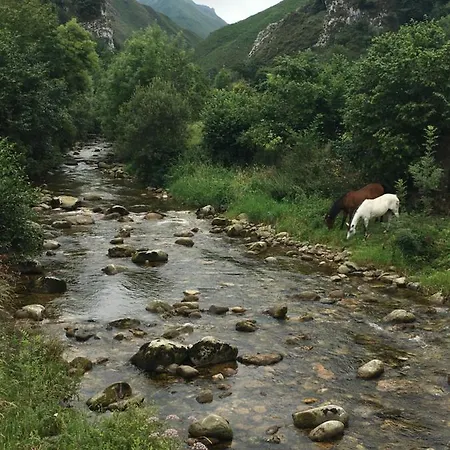 La Casita De Olivia Espinaredo La Villa
