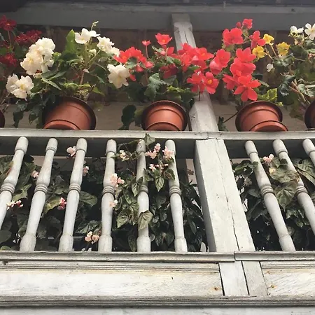 La Casita De Olivia Espinaredo 木屋 La Villa