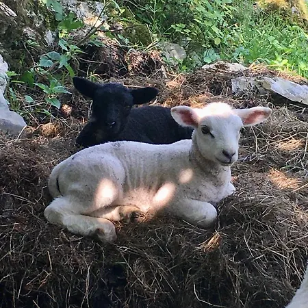 La Casita De Olivia Espinaredo Chalet *