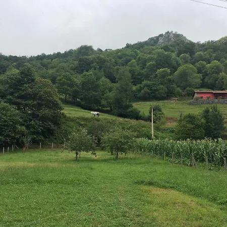 La Casita De Olivia Espinaredo 木屋 *