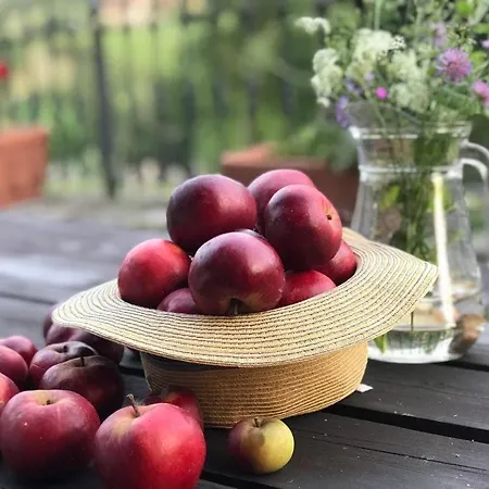 La Casita De Olivia Espinaredo Chalet La Villa