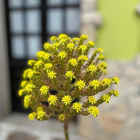 Chalet La Casita De Olivia Espinaredo