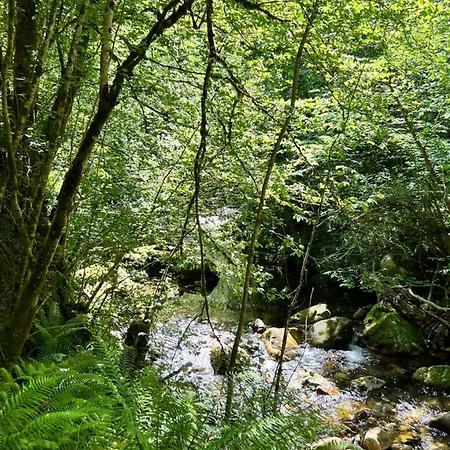 La Casita De Olivia Espinaredo La Villa