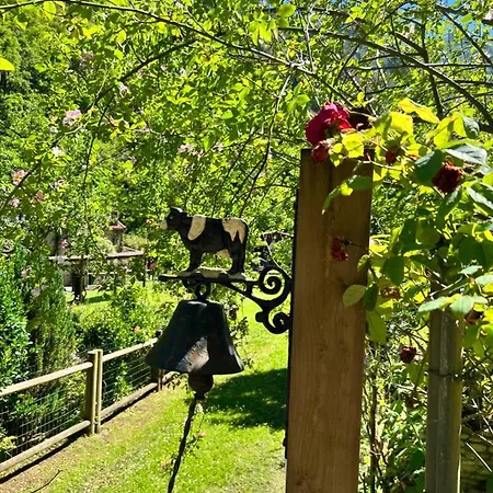 La Casita De Olivia Espinaredo La Villa