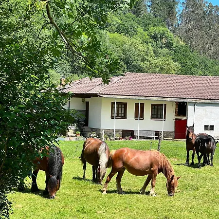 La Casita De Olivia Espinaredo *