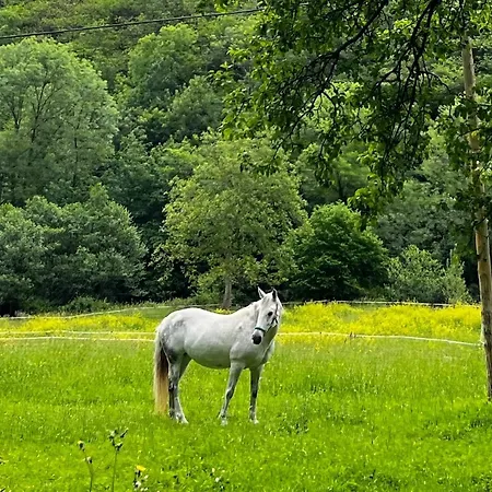 La Casita De Olivia Espinaredo La Villa