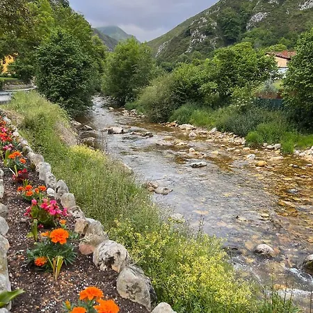 La Casita De Olivia Espinaredo 木屋 *