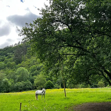 La Casita De Olivia Espinaredo 木屋 *