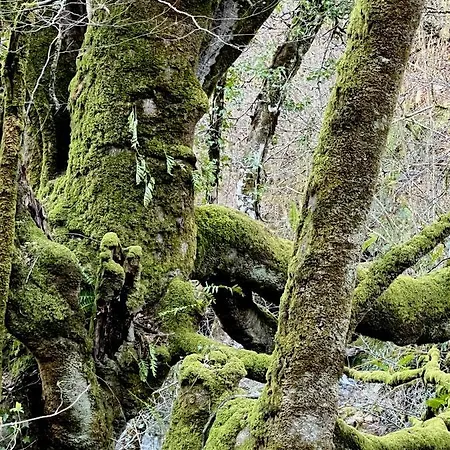 La Casita De Olivia Espinaredo