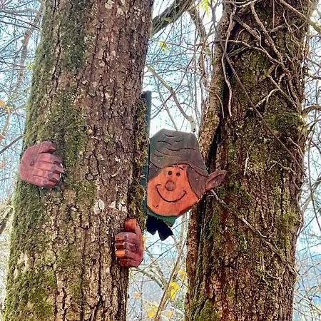 La Casita De Olivia Espinaredo 木屋 *