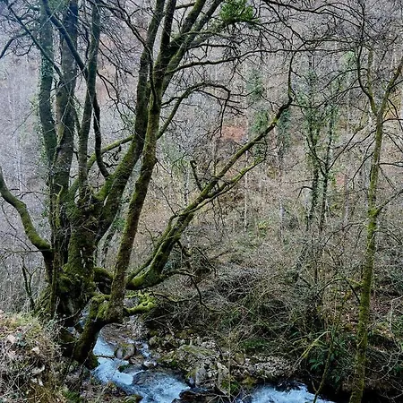 Chalet La Casita De Olivia Espinaredo La Villa