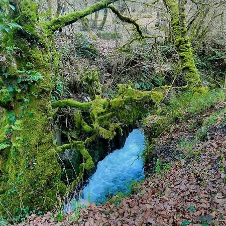 La Casita De Olivia Espinaredo