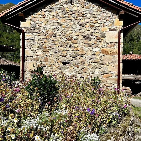 La Casita De Olivia Espinaredo